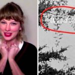 Taylor Swift Shut Down The Theory That She's About To Release Another New Album Called "Woodvale" But Fans Are Not Convinced