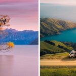 18 Nature And Wildlife Experiences To Do All Around New Zealand